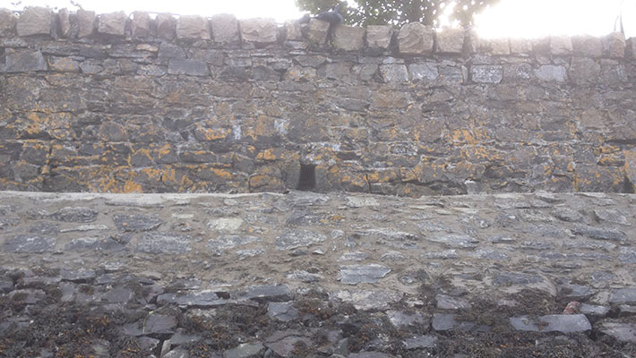 Carlingford Harbour Revetment Works